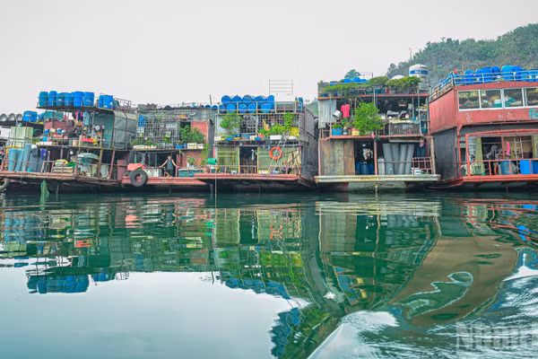 Những chiếc tàu buôn ngược dòng sông Đà phải đủ điều kiện đăng kiểm, bảo đảm an toàn trên hành trình suốt 10 phiên chợ, qua 7 ngày đêm. (Ảnh: BẢO LONG)