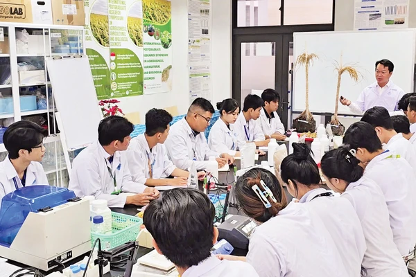 PGS, TS Nguyễn Khởi Nghĩa hướng dẫn sinh viên tham gia nghiên cứu dự án.