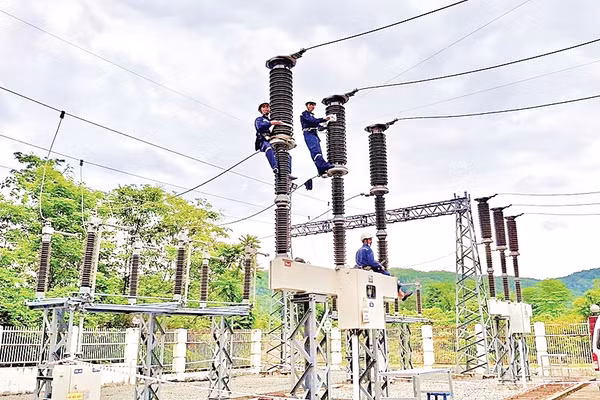 Dự án điện sinh khối giúp Cần Thơ hướng đến tăng trưởng xanh, bền vững. Ảnh: VNPD