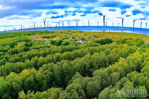 Khu vực ven biển thuộc phường Hiệp Thành (tỉnh Cà Mau) phát triển mạnh về điện gió. 