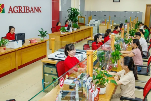 Khách hàng giao dịch tại Agribank chi nhánh Bắc Thanh Hóa.