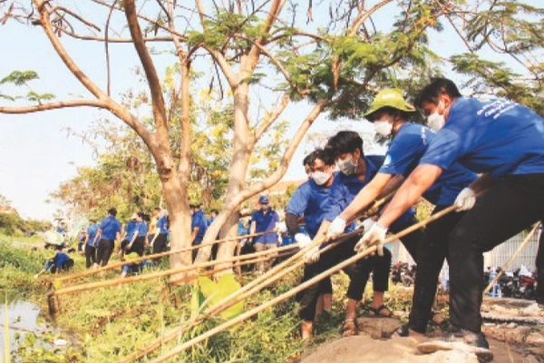 Thanh niên Thành phố Hồ Chí Minh trong một hoạt động tình nguyện. (Ảnh: THẾ ANH) 