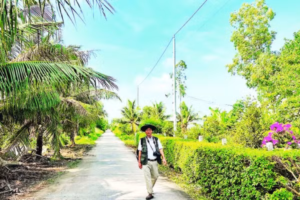 Hiện nay, các tuyến đường ở các ấp vùng sâu tại xã Ninh Thạnh Lợi đều rải nhựa, xanh, sạch, đẹp.