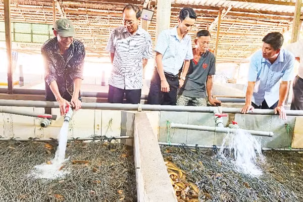Hội Nông dân thành phố Cần Thơ và Ủy ban nhân dân xã Vị Thủy khảo sát tại hộ nuôi lươn ở Ấp 6.