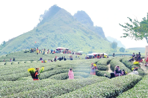 Bản làng giờ không chỉ an toàn hơn trước thiên tai, mà còn trở thành điểm đến sinh thái hấp dẫn. Ảnh: Nam Nguyễn