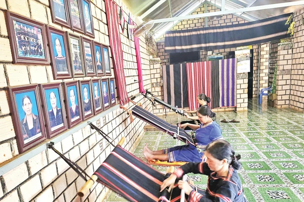 Các nghệ nhân Câu lạc bộ dệt thổ cẩm làng Phung cần mẫn bên khung cửi.