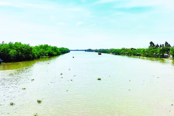 Bên các nhánh sông Cửu Long là nơi trú ngụ của loài cá ngát.