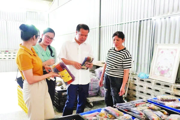 Cán bộ Liên minh Hợp tác xã tỉnh Cao Bằng gặp gỡ, tư vấn, định hướng phát triển cho các hợp tác xã tại địa phương