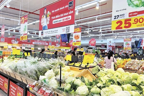 Nhiều siêu thị đã ký hợp đồng với các Hợp tác xã cung ứng rau xanh ra thị trường dịp cuối năm.