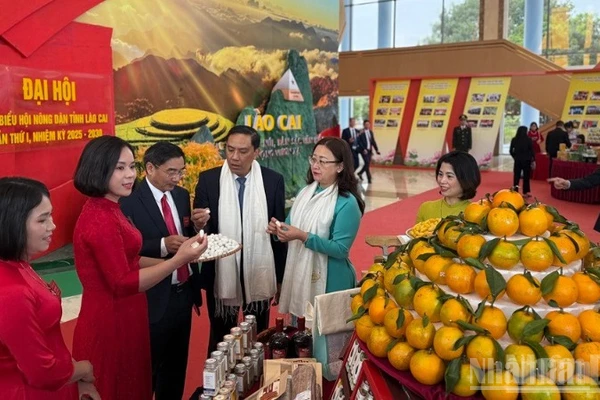 Các đại biểu tham quan gian hàng của nông dân tại Đại hội. (Ảnh: THANH SƠN)