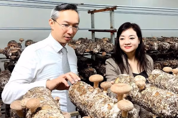 Khách hàng Nhật Bản khảo sát tại một cơ sở ứng dụng công nghệ sinh học trong sản xuất nấm.