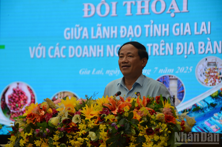 Chủ tịch Ủy ban nhân dân tỉnh Gia Lai Phạm Anh Tuấn kết luận hội nghị. ndo_br_dsc-0666.jpg