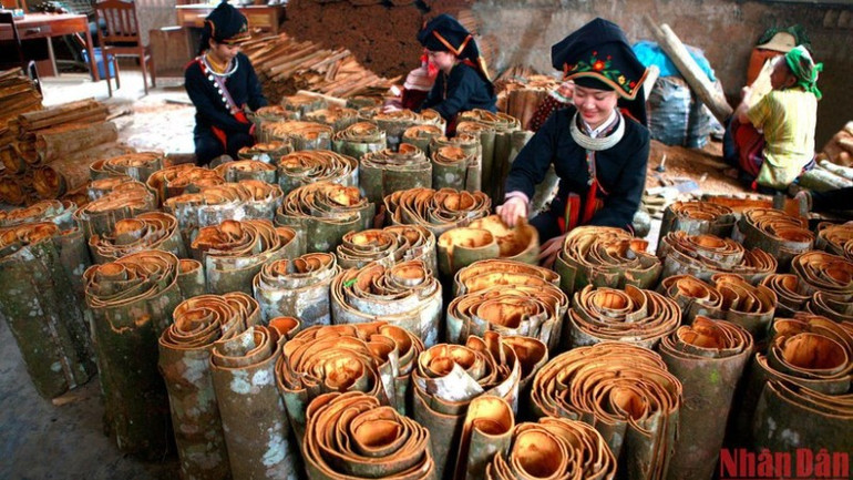 Lễ hội Quế huyện Văn Yên (tỉnh Yên Bái cũ) năm 2022 image-5-9964.jpg