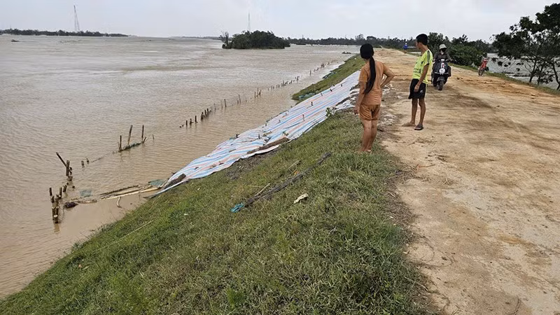 Điểm đê hữu sông Mã thuộc phường Quảng Phú, tỉnh Thanh Hóa bị sạt mái đã được xử lý kịp thời.