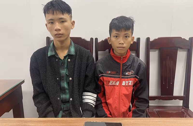 Hai thủ phạm cướp giật tài sản của công dân.