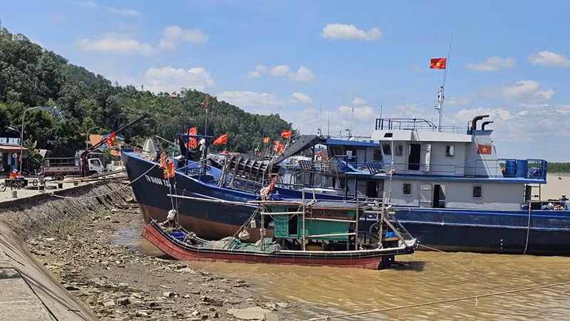 Tàu thuyền neo đậu trong lạch Trường, tỉnh Thanh Hóa.