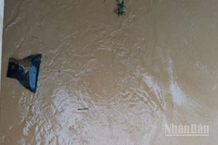 Nước lũ cuốn trôi ti-vi của người dân.