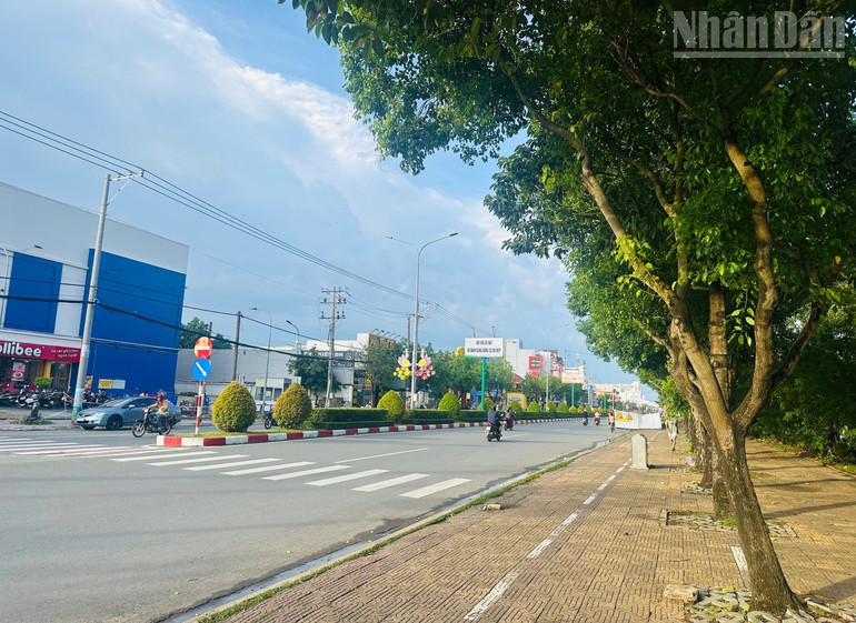 Hàng cây xanh trước siêu thị Co.opmart phường Bạc Liêu (phía công viên văn hóa Trần Huỳnh) vẫn rất xanh tốt, đẹp mắt. (Ảnh: TRỌNG DUY). ndo_tr_img-2753.jpg