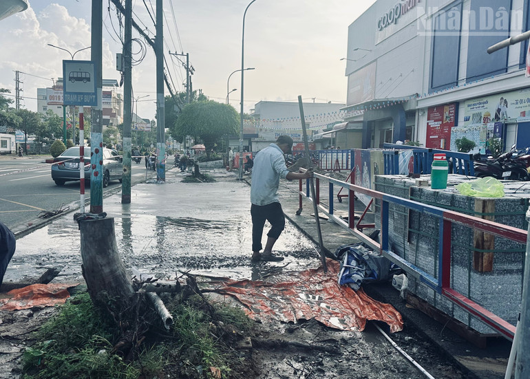 Hàng cây xanh tốt hàng chục năm nay bỗng nhiên không còn, mặt tiền siêu thị Co.opmart Bạc Liêu trở nên "thông thoáng" bất ngờ. (Ảnh: TRỌNG DUY) ndo_tr_img-2750.jpg