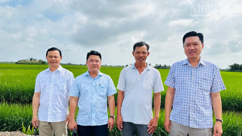 Cà Mau: Mô hình lúa-tôm hiệu quả cao, thu hút nhiều cán bộ, nông dân đến thăm quan, học tập ndo_tr_img-6129-8719.jpg