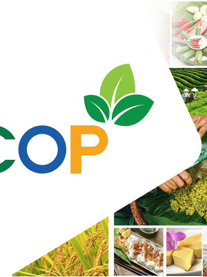 Chương trình Mỗi xã một sản phẩm (OCOP)