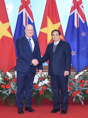 Việt Nam - New Zealand