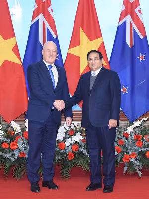 Việt Nam - New Zealand