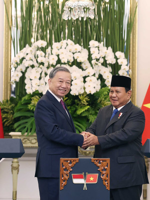 Việt Nam - Indonesia