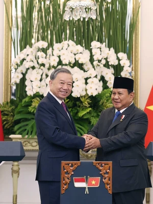 Việt Nam - Indonesia