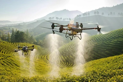 Drone được sử dụng hiệu quả trong nông nghiệp. Ảnh | Agridrone