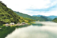 Người dân bản Mường Mô phát triển nghề nuôi cá lồng trên lòng hồ thủy điện.