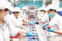 Sản xuất xúc xích phục vụ mùa Tết tại Công ty cổ phần Việt Nam Kỹ nghệ Súc sản-VISSAN. (Ảnh CTV)