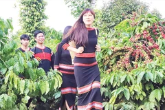 Đồng bào các dân tộc tỉnh Đắk Lắk hết sức tự hào khi Bộ Văn hóa, Thể thao và Du lịch công nhận “Tri thức trồng và chế biến cà-phê Đắk Lắk” là di sản văn hóa phi vật thể quốc gia, thuộc tri thức dân gian.