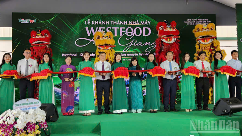 ndo_br_thiet-ke-chua-co-ten-2.png