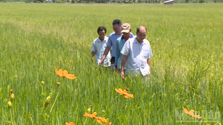 ndo_br_thiet-ke-chua-co-ten-1.png