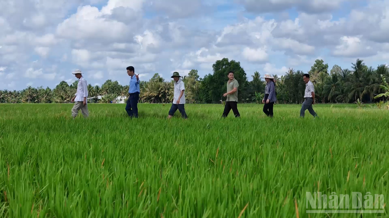 ndo_br_thiet-ke-chua-co-ten-4.png