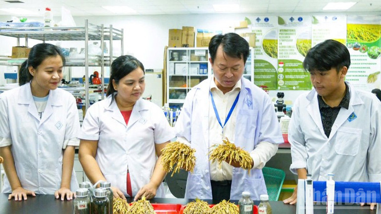 Can Tho University är en plats att vårda högkvalitativa mänskliga resurser. ndo_br_thiet-ke-chua-co-ten-2-776.png