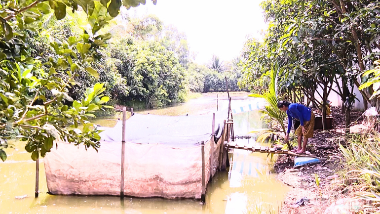 Bà Danh Thị Oanh, xã Cờ Đỏ, thành phố Cần Thơ vươn lên thoát nghèo nhờ vay vốn ưu đãi, chăn nuôi ếch thương phẩm. ndo_br_thiet-ke-chua-co-ten.png
