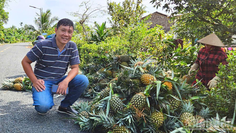 Tourists from Ho Chi Minh City experience pineapple harvesting by farmers. ndo_br_thiet-ke-chua-co-ten-3.png