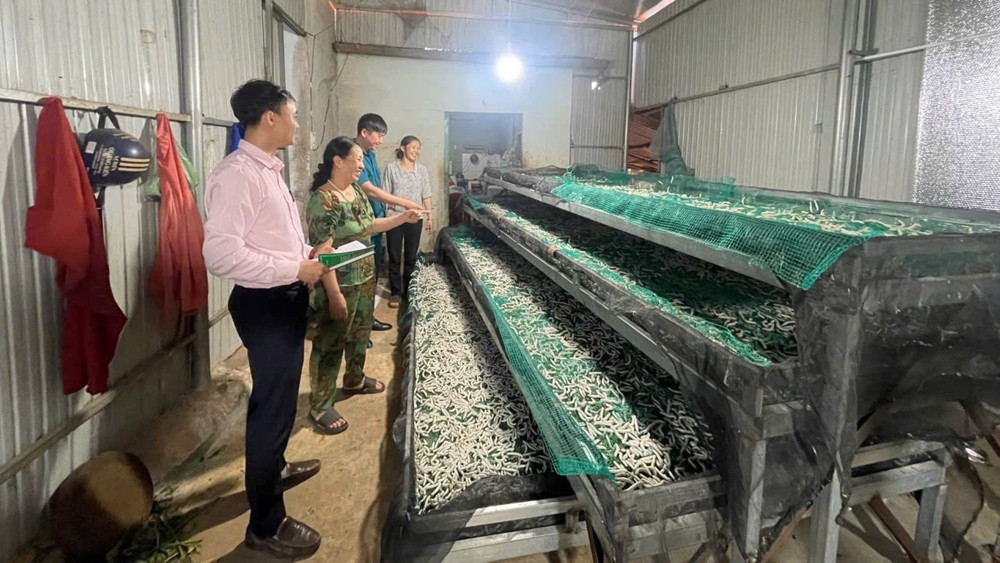 Các cán bộ tín dụng chính sách hướng dẫn, kiểm tra hộ vay sử dụng đồng vốn hiệu quả. img-2475.jpg