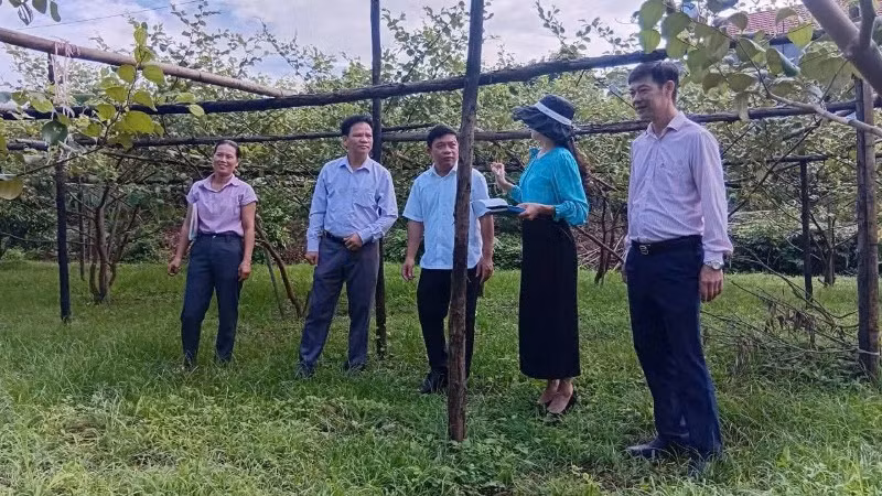 can-bo-tin-dung-nhcsxh-tinh-bac-ninh-gan-bo-va-tan-tinh-giup-dan-su-dung-von-chinh-sach-phat-trien-san-xuat-kinh-doanh-7530.jpg
