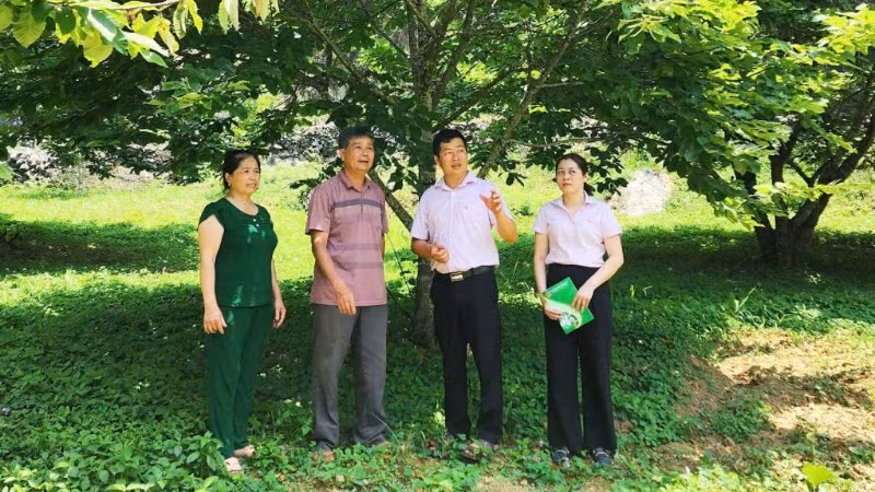 can-bo-tin-dung-nhcsxh-tinh-cao-bang-thuong-xuyen-ve-co-so-tan-tinh-huong-dan-dong-bao-dan-toc-su-dung-von-bay-dau-tu-san-xuat-hieu-qua-7227.jpg