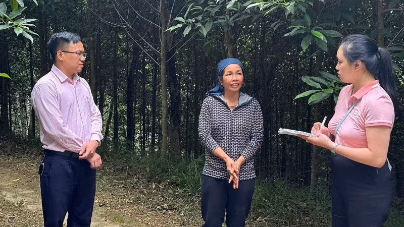 can-bo-tin-dung-nhcsxh-bac-kan-luon-bam-sat-co-so-tan-tam-huong-dan-khach-hang-su-dung-von-vay-dung-muc-dich-dat-hieu-qua-trong-san-xuat-kinh-doanh-6739.jpg
