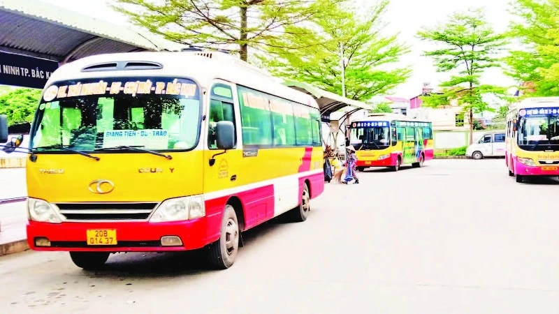 Thái Nguyên ban hành chính sách hỗ trợ xe buýt xanh, đối mặt thách thức triển khai