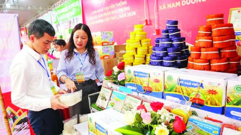 Câu lạc bộ hợp tác xã: Hướng đi mới trong sản xuất nông nghiệp Bắc Ninh
