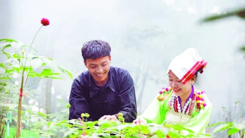 Lai Châu đẩy mạnh phát triển nông nghiệp xanh, bền vững đến năm 2030