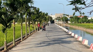 (Ảnh minh họa: Diện mạo nông thôn Nam Định hôm nay)