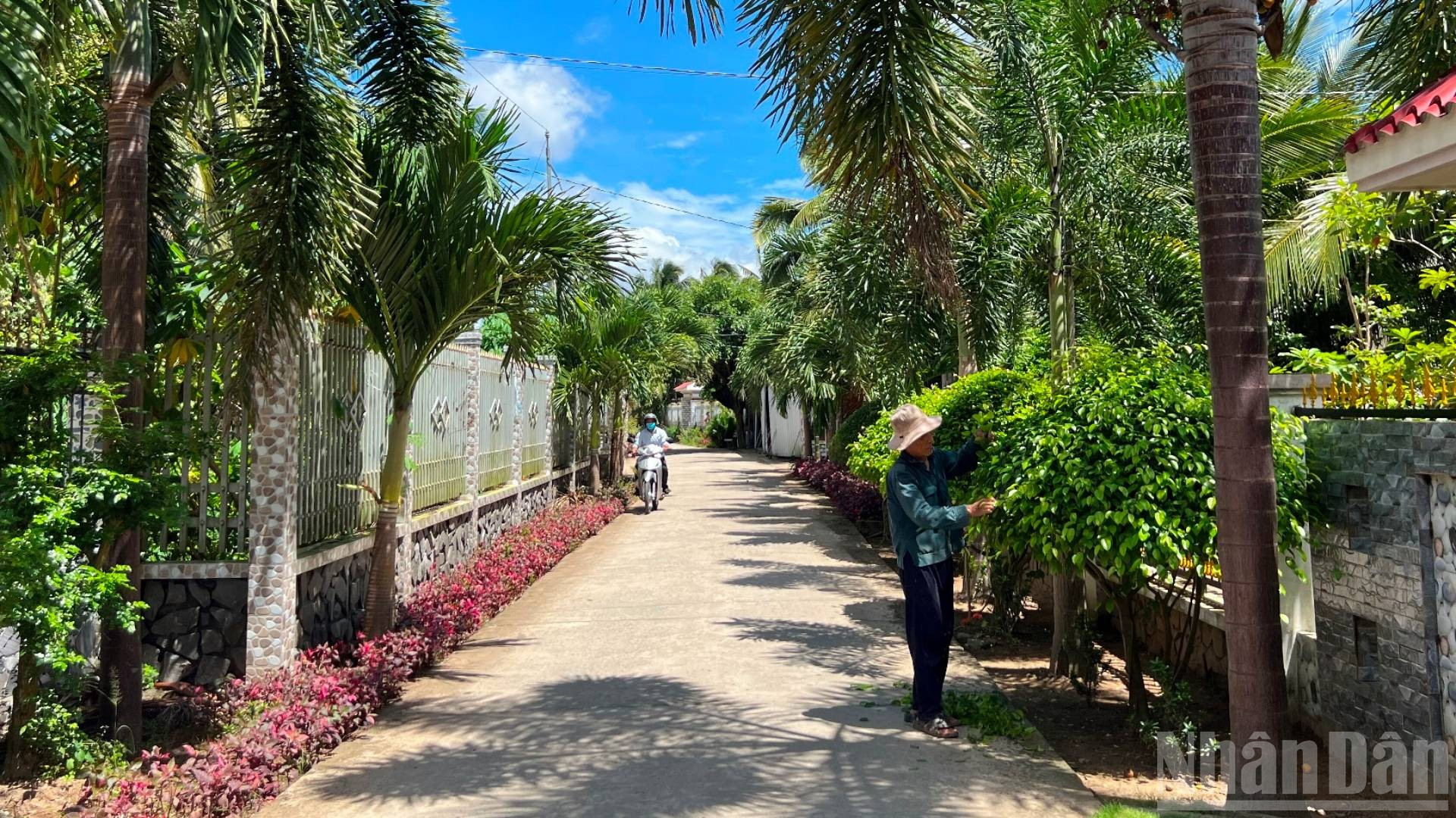 Đường giao thông nông thôn tại xã Tân Hào được đầu tư, giúp kinh tế phát triển. (Ảnh: HOÀNG TRUNG) ndo_br_3-28.jpg