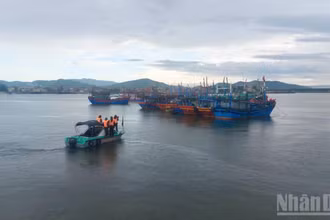 Bộ đội Biên phòng Quảng Trị kêu gọi tàu thuyền khẩn trương vào nơi neo đậu an toàn.