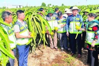 Mô hình khuyến nông hai cấp đi vào hoạt động ổn định sẽ phát huy hiệu quả tích cực trong sản xuất nông nghiệp.